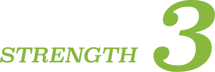 Strength3